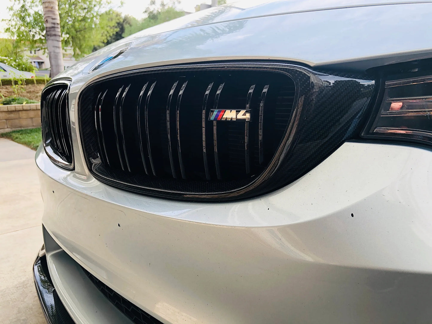 BMW F80 F82 M3 M4 Carbon Fiber Grills