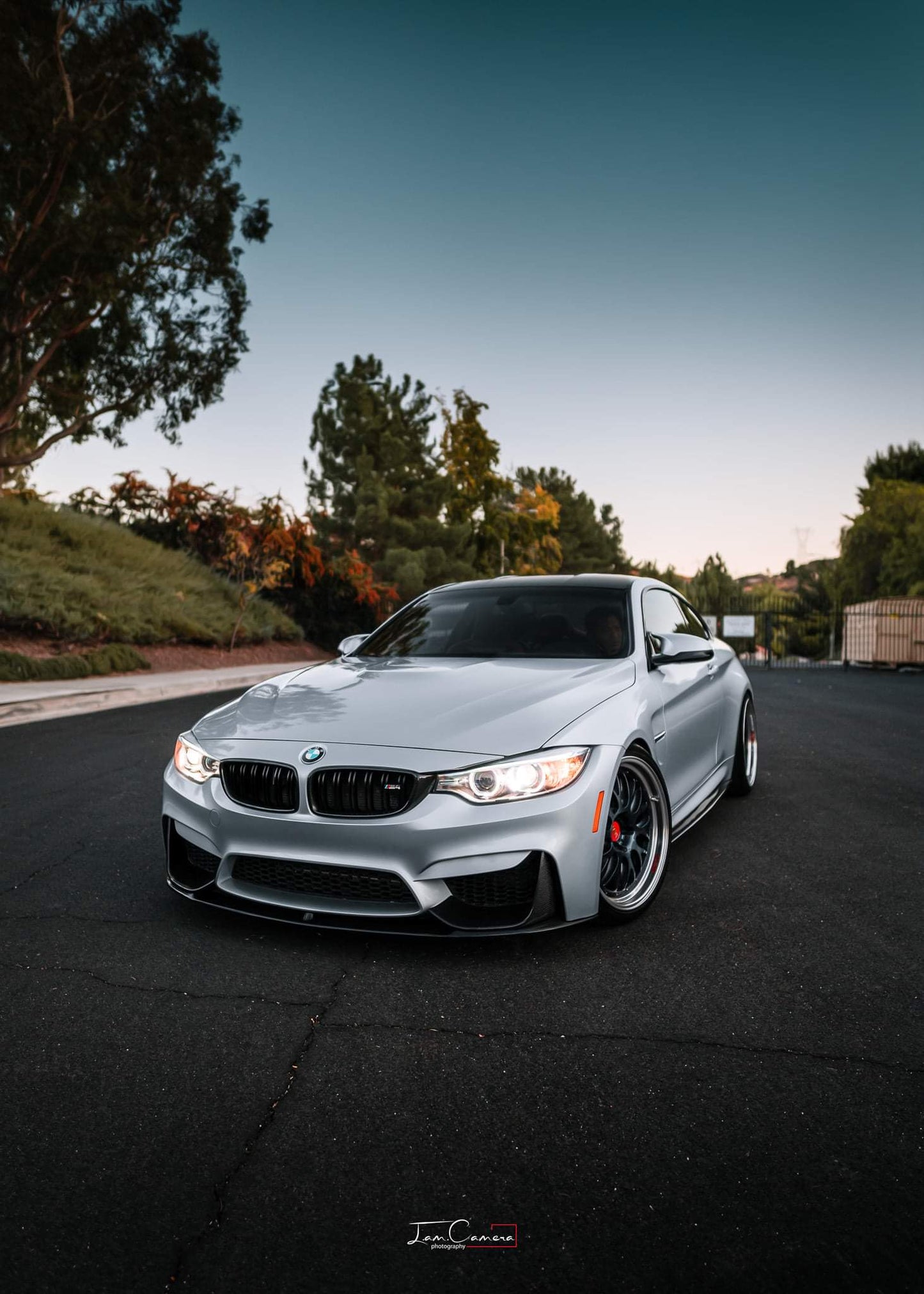 BMW F80 F82 M3 M4 Carbon Fiber Grills